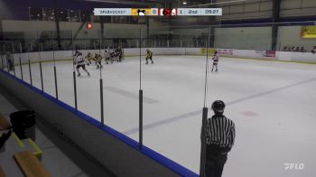 Replay: Home - 2024 Penguins U14 vs Ottawa 67s U14 | Nov 29 @ 11 AM