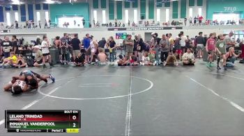84 lbs Cons. Round 1 - Immanuel Vanderpool, Teknique vs Leland Trinidad, Brandon