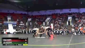 119 lbs Finals (8 Team) - Cole Marry, Hudson Area HS vs Leo Bauman, New Lothrop HS