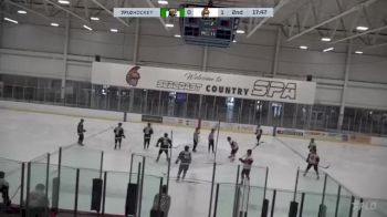 Replay: Home - 2025 SS Kings vs Spartans | Jan 31 @ 11 AM