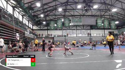 59-65 lbs Champ. Round 1 - Michael Fangerow, Lincoln Way Wrestling Club vs Will Gallo, SJO Youth Wrestling Club