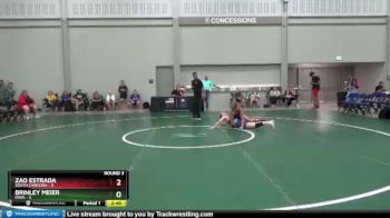 122 lbs Round 3 (8 Team) - Zao Estrada, South Carolina vs Brinley Meier, Iowa