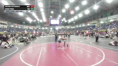 Consolation - Tucker Pettengill, Montrose Elite vs Aiden Pena, Ridge WC