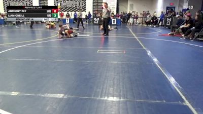 94 lbs Round Of 16 - Anthony Bly, Harborcreek vs Liam ONeill, Virginia Patriots