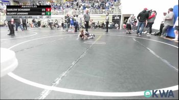 40 lbs Quarterfinal - Barlow Schubert, Chandler Takedown Club vs Elliott Liogghio, Andover Wrestling Club