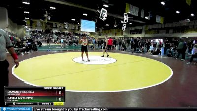 195 lbs Champ. Round 2 - Damian Herrera, Palm Desert vs Sasha Nyzhnyk, Los Gatos