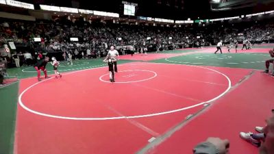 45 lbs Quarterfinal - Grayson Brown, RIKA vs Connor Grier, WAD1