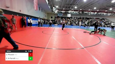 165 lbs Round Of 32 - Jeremy Pitcock, Tenafly vs Cody Aniche-Farrell, Depaul Catholic