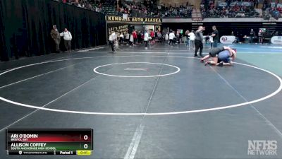 235G Cons. Semi - Ari O`Domin, Bristol Bay vs Allison Coffey, South Anchorage High School