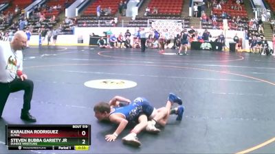 70 lbs Quarterfinal - Karalena Rodriguez, Elyria vs Steven Bubba Gariety Jr, Dundee Wrestling