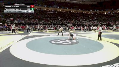 113 lbs Semis - Dominic Difilippo, Medina vs Rylan Seacrist, Brecksville