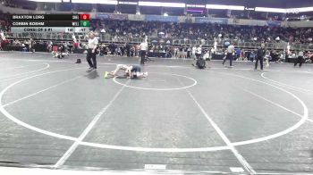 65 lbs Consi Of 8 #1 - Braxton Lorg, Shelton Wr Ac vs Corbin Boehm, Wellsville Kid Matters