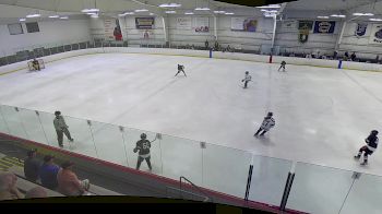 Replay: Home - 2024 TSH Selects vs Rapid Hockey | Jul 12 @ 7 AM