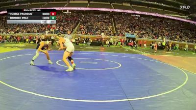 D1-144 lbs Cons. Round 2 - Dominic Pelc, Livonia Stevenson vs Tobias Pacheco, Davison HS