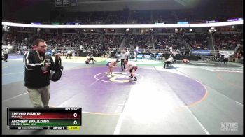 II-126 lbs Quarterfinal - Trevor Bishop, Tamarac vs Andrew Spaulding, Honeoye Falls-Lima