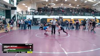 95 lbs Cons. Round 5 - Logan Dalton, Emmett vs Wesley Metcalf, McCain