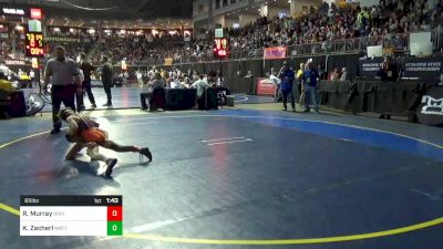 65 lbs Quarterfinal - Remi Murray, Shikellamy vs Kelly Zacherl, Wattsburg