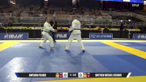 Matthew Michael Escobar vs Amitabha Palmer 2025 Pan Jiu Jitsu IBJJF Championship
