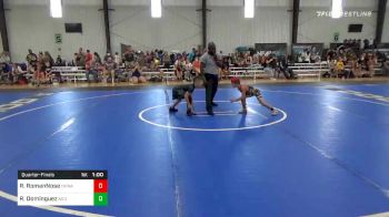 55 lbs Quarterfinal - Ryker RomanNose, Okwa vs Rocco Dominguez, Red Wave