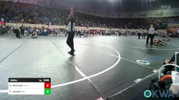 160 lbs Quarterfinal - Austin Mitchell, Newcastle Youth Wrestling vs Chandler Jewell, Piedmont