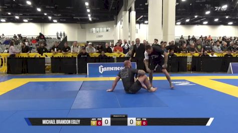 Andre Steola Salles Vanni vs Michael Brandon Egley 2025 World IBJJF Jiu-Jitsu No-Gi Championship