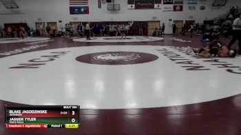 157 lbs Semifinal - Blake Jagodzinske, Augsburg vs Jagger Tyler, Sioux Falls