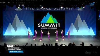 Star Steppers Dance - Mini Elite Pom [2025 Mini - Pom - Small Semis] 2025 The Dance Summit