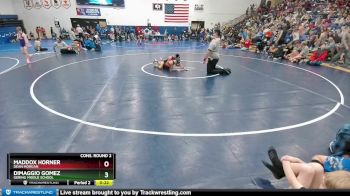 Replay: Mat 1 - 2024 Douglas MS Invitational | Nov 16 @ 9 AM