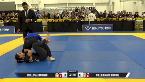 Chelsea Marie DiCaprio vs Ashley Valera Merlo 2025 World IBJJF Jiu-Jitsu No-Gi Championship
