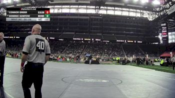 D2-138 lbs 3rd Place Match - Dominic Gumtow, Warren Woods-Tower HS vs Connor Greer, John Glenn HS (Bay City)