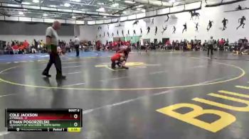 133 lbs Round 2 (8 Team) - Cole Jackson, Otterbein vs Ethan Pogorzelski, University Of Wisconsin - White Water