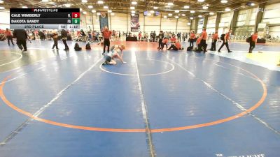 100 lbs 3rd Place - Cale Wimberly, FL vs Dakota Sandy, PA