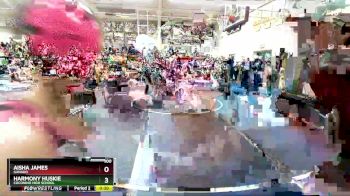 100 lbs Quarterfinal - Ruthie Wilhelm, Show Low vs Amber Gutierrez, Miyamura