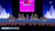 Pittsburgh Poison All Stars - Poison Arrows [2026 L3 Junior - Flex - D2 - Medium Semis] 2026 The D2 Summit