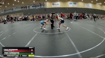 88 lbs Round 1 - Tripp Farrington, CP Wrestling Academy vs Cole Dickerson, Southern Fury