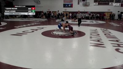 133 lbs Cons. Round 2 - Isaac Ayers, Luther vs Gavin Hilyar, Augsburg