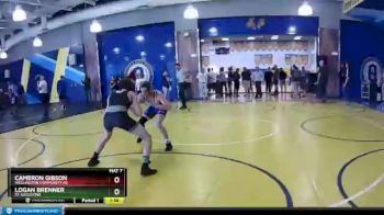 113 lbs Semifinal - Cameron Gibson, Wellington Community Hs vs Logan Brenner, St Augustine