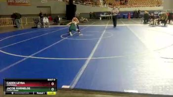 D2-113 lbs Champ. Round 1 - Jacob Marnelos, Campo Verde vs Caden Leyba, Centennial