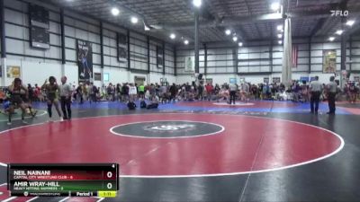 120 lbs Placement Matches (8 Team) - Neil Nainani, CAPITAL CITY WRESTLING CLUB vs Amir Wray-Hill, HEAVY HITTING HAMMERS