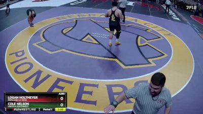 Champ. Round 1 - Cole Nelson, Lincoln Southwest vs Logan Holtmeyer, Papillion-La Vista