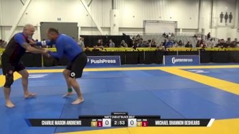 Michael Shannon Beshears vs Charlie Mason Andrews 2025 World IBJJF Jiu-Jitsu No-Gi Championship