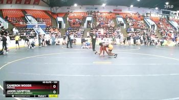 125 lbs Champ. Round 2 - Cameron Woods, Portage vs Jason Hampton, Callan Wrestling Academy