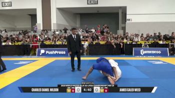 James Caleb Weed vs Charles Daniel Wilson 2026 World Master IBJJF Jiu-Jitsu Championship