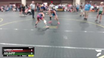 110 lbs Round 3 (6 Team) - Alex Allison, Team Palmetto vs Cameron Underwood, Steel Valley