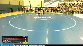 141 lbs Cons. Round 1 - Troy Mock, Elmhurst College vs Andrew LeMire, St. John`s University (Minnesota)