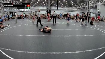 48 lbs Placement (4 Team) - Weston Mcarthy, CTWHALE vs Liam Diodati, Smitty`s Barn