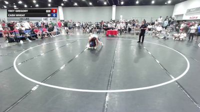 165 lbs Trey Gregory, Georgia vs Cash Wheat, Team Maryland