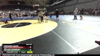 43-45 lbs Cons. Round 1 - Antonio Dominguez, Oak Harbor Wrestling Club vs Theodore Legare, Franklin Pierce Cardinal Wrestling Club