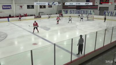 How Fast Can A Hockey Player Skate? - FloHockey