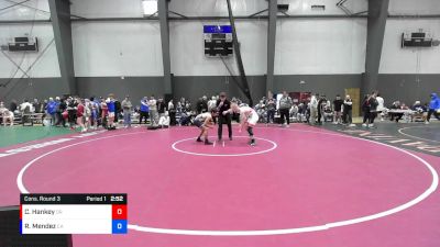 Junior Boys FS - 132 lbs Cons. Round 3 - Colton Hankey, OR vs Rotceh Mendez, CA